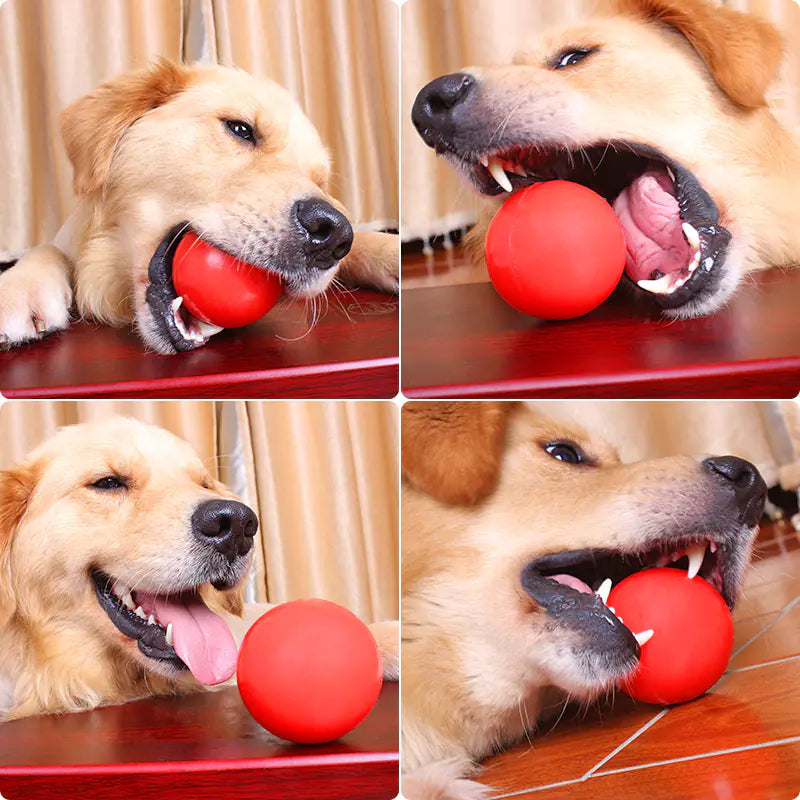 Durable Chew Ball Toy for Dogs - Training & Fun