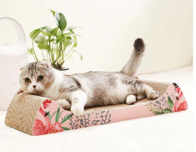 Cat Scratching Board and Corrugated Cat House