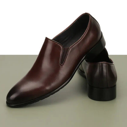 The Hand-Painted Leather Shoes for Men,
