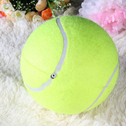 Giant Inflatable Tennis Ball for Pets - 9.5 Inch Chew Toy
