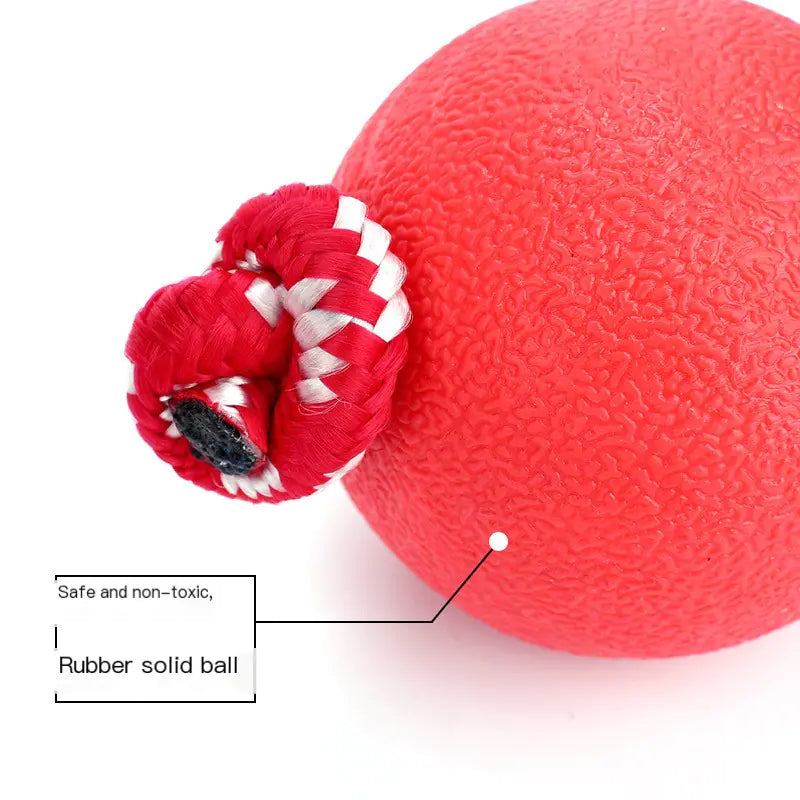 Durable Chew Ball Toy for Dogs - Training & Fun