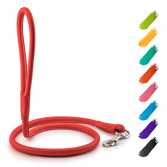 WAUDOG Rolled Leather Dog Leash 4Ft * 0.4 in for Small Medium and Large Dogs - Heavy Duty Leather Puppy Leash for Outdoor Walking Running Training - Strong Dog Leashes for Large Breed Dogs (Red)